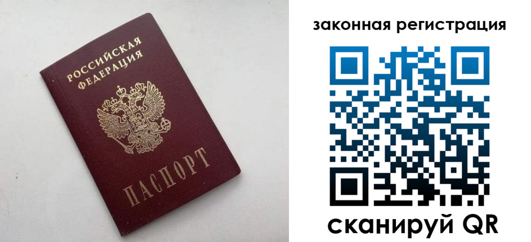 прописка гарантия в Апатитах